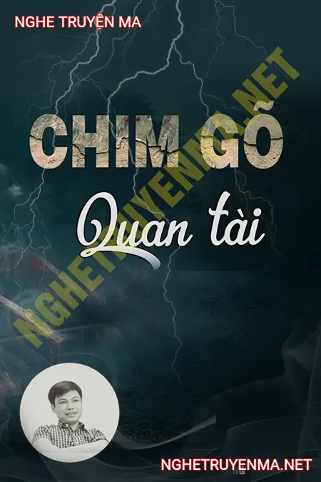 Chim Gõ Nắp Quan Tài