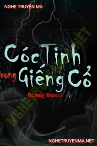 Cóc Tinh Trong Giếng Cổ