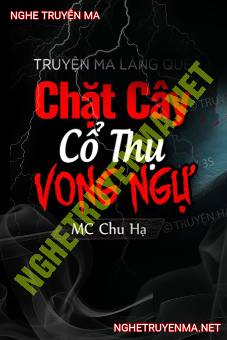 Bí Ẩn Đằng Sau Gốc Vú Sữa