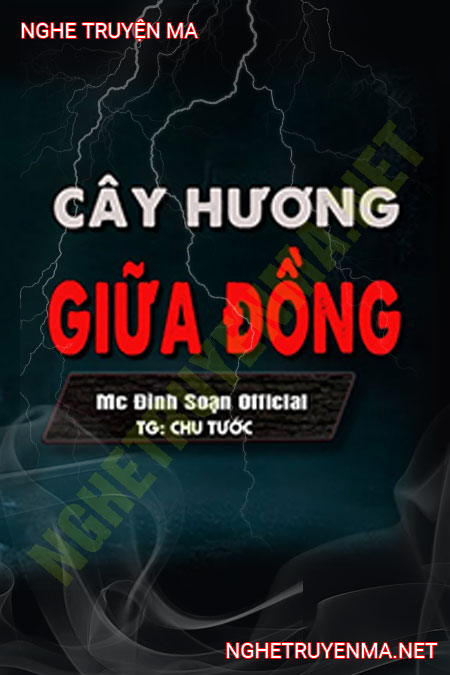 Cầy Hương Giữa Đồng