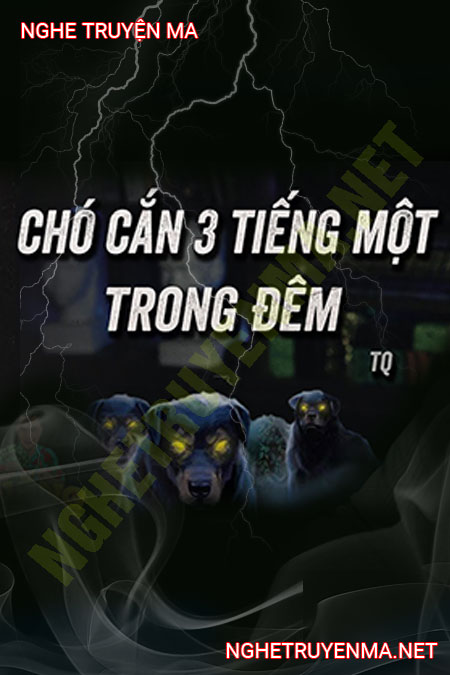 Chó Sủa 3 Tiếng 1 Lần