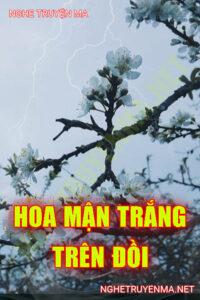 Hoa Mận Trắng Trên Đồi