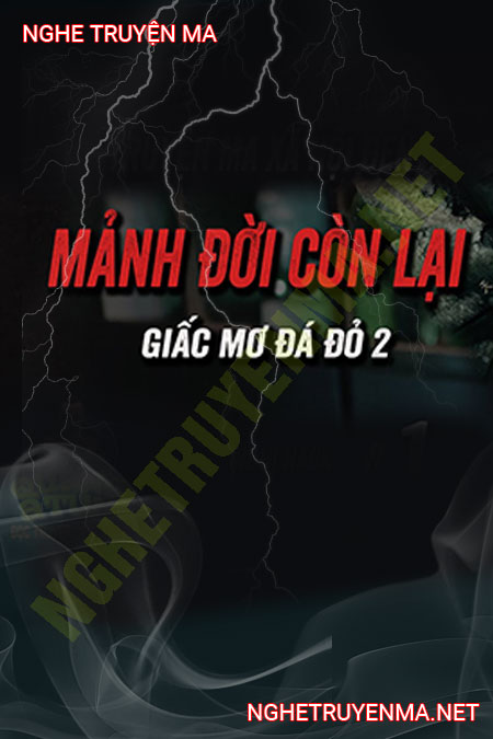 Mảnh Đời Còn Lại