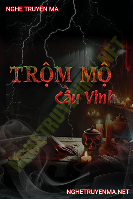 Trộm Mộ Cầu Vinh