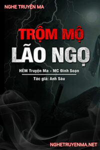Trộm Mộ Lão Ngọ
