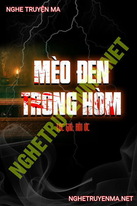 Mèo Đen Trong Hòm
