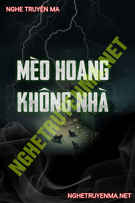 Mèo Hoang Không Nhà