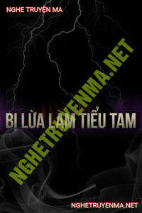 Bị Lừa Thành Tiểu Tam