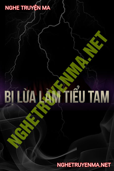 Bị Lừa Thành Tiểu Tam