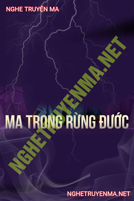Ma Trong Rừng Đước