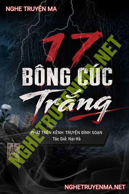 17 Bông Cúc Trắng