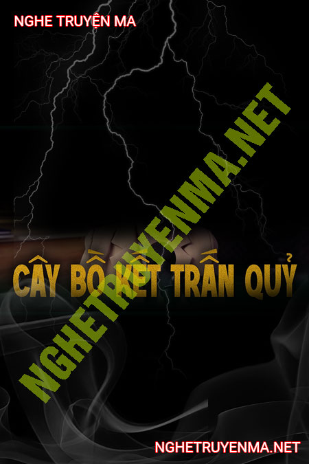 Cây Bồ Kết Trấn Quỷ