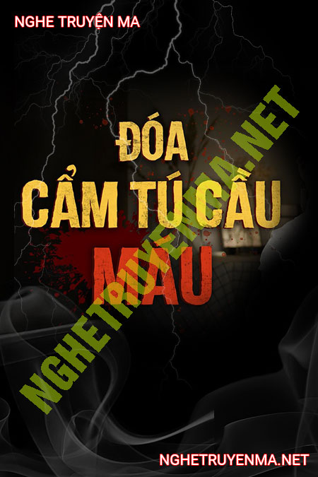 Đóa Cẩm Tú Cầu Máu