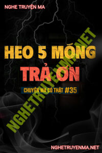Heo 5 Móng Trả Ơn
