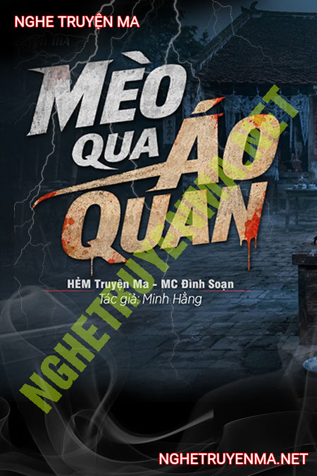 Mèo Qua Áo Quan