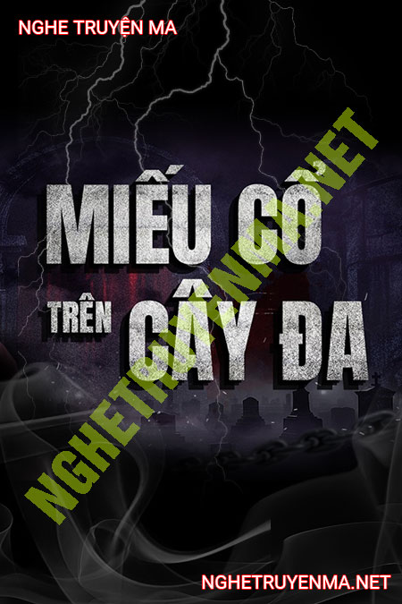 Miếu Cổ Trên Cây Đa