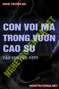 Con Voi Ma Trong Vườn Cao Su