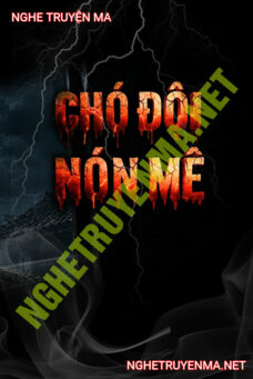 Chó Đội Nón Mê