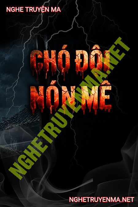 Chó Đội Nón Mê