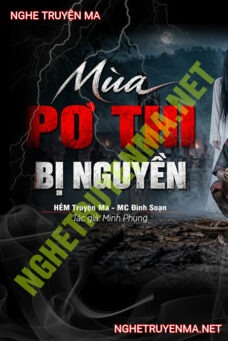 Mùa Pơ Thi Bị Nguyền