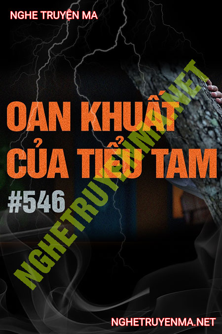 Oan Khuất Của Tiểu Tam